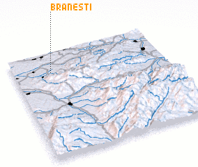 3d view of Brăneşti