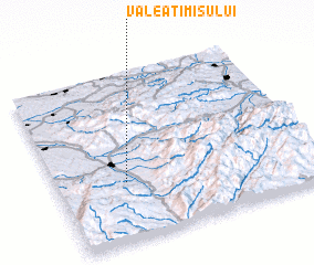 3d view of Valea Timişului