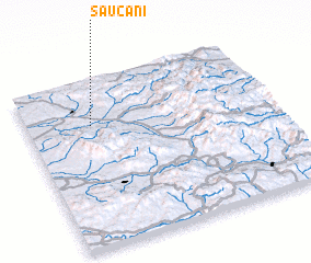 3d view of Săucani