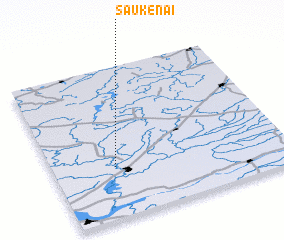 3d view of Šaukėnai