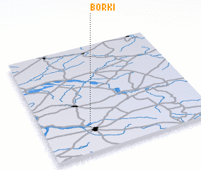 3d view of Borki