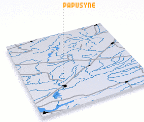 3d view of Papušynė