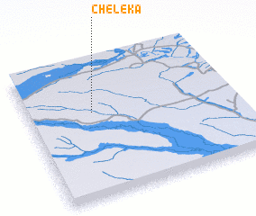 3d view of Cheleka