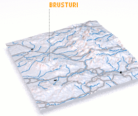 3d view of Brusturi