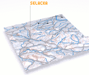 3d view of Selačka