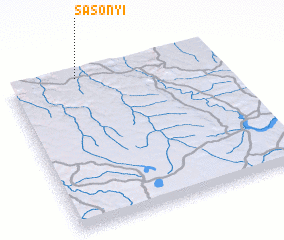 3d view of Sasonyi