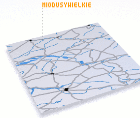 3d view of Miodusy Wielkie