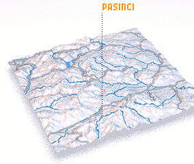 3d view of Pasinci