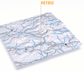 3d view of Petriş