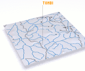 3d view of Tombi