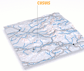 3d view of Cusuiş