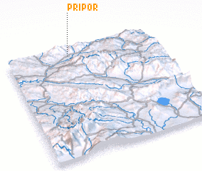 3d view of Pripor