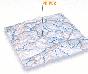 3d view of Pripor