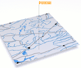 3d view of Puikiai