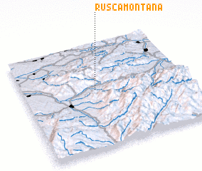 3d view of Rusca Montană