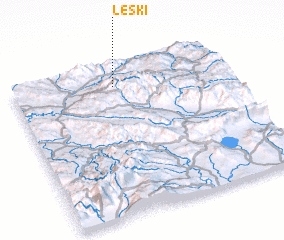 3d view of Leski