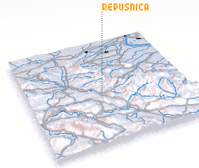 3d view of Repušnica
