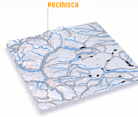 3d view of Pecinişca