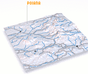 3d view of Poiana