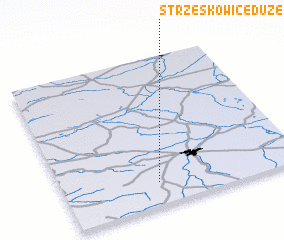 3d view of Strzeskowice Duże