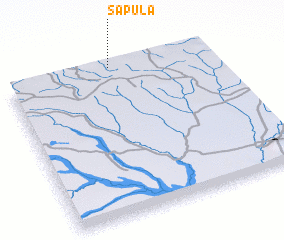 3d view of Sapula