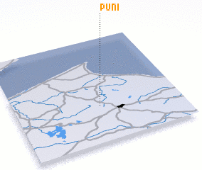 3d view of Pūni