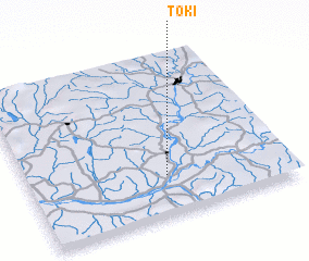 3d view of Toki