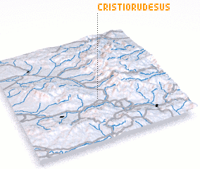 3d view of Criştioru de Sus