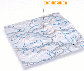 3d view of Cociuba Mică