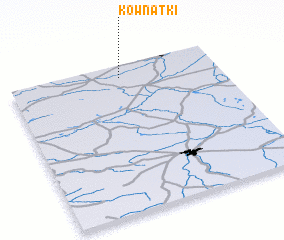 3d view of Kownatki