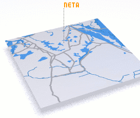 3d view of Neta