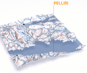 3d view of Pellíni