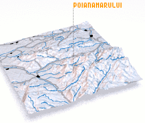 3d view of Poiana Mărului