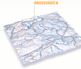 3d view of Našuškovica