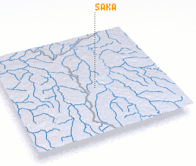 3d view of Saka