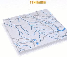 3d view of Tshibamba