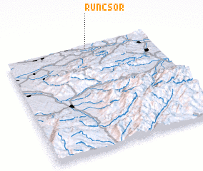 3d view of Runcşor