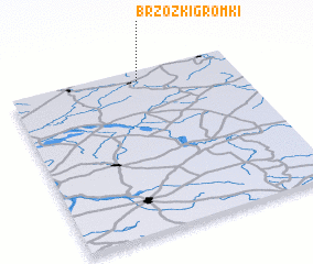 3d view of Brzózki Gromki