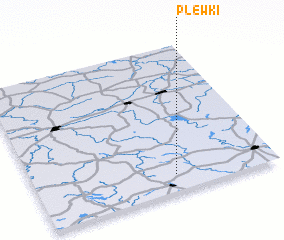 3d view of Plewki