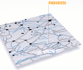 3d view of Pădureni