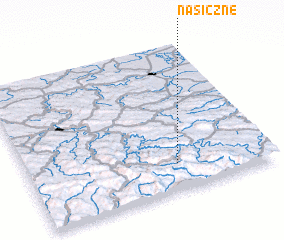 3d view of Nasiczne