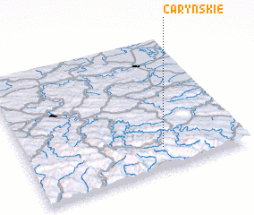 3d view of Caryńskie