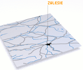 3d view of Zalesie