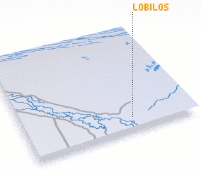 3d view of Lobilos