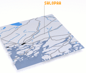 3d view of Salopää