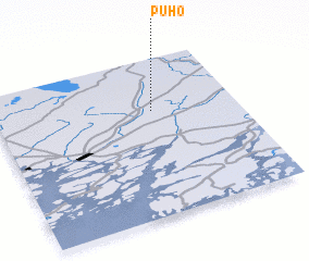 3d view of Puho