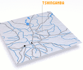 3d view of Tshingamba