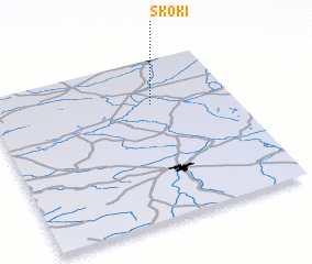 3d view of Skoki