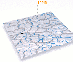 3d view of Tapin