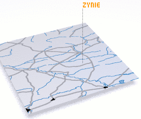 3d view of Zynie